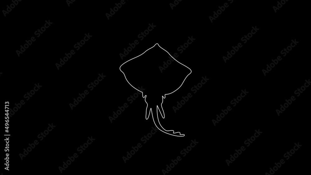 white linear sea stingray silhouette. the picture appears and disappears on a black background.
