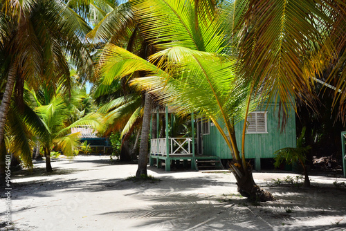 Saona Island, Dominican Republic - Palm trees on Isla Saona, Caribbean coast photo
