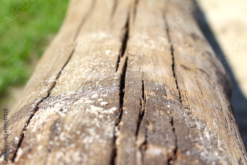 Tronco de madeira com áreia, textura do tronco de madeira, textura de madeira