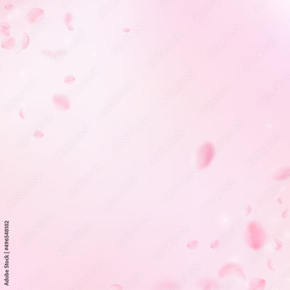 Sakura petals falling down. Romantic pink flowers corner. Flying petals on pink square background. Love, romance concept. Appealing wedding invitation.