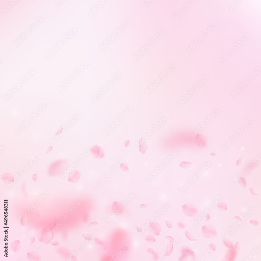 Sakura petals falling down. Romantic pink flowers gradient. Flying petals on pink square background. Love, romance concept. Unique wedding invitation.