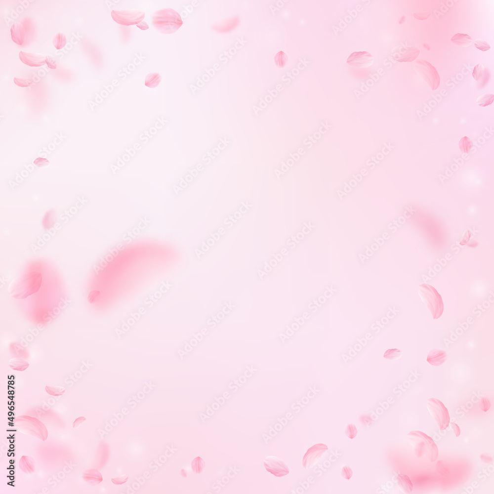 Sakura petals falling down. Romantic pink flowers vignette. Flying petals on pink square background. Love, romance concept. Incredible wedding invitation.