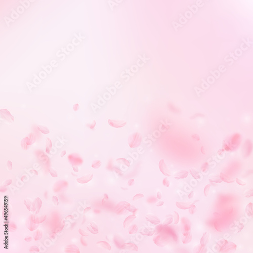 Sakura petals falling down. Romantic pink flowers gradient. Flying petals on pink square background. Love, romance concept. Splendid wedding invitation.