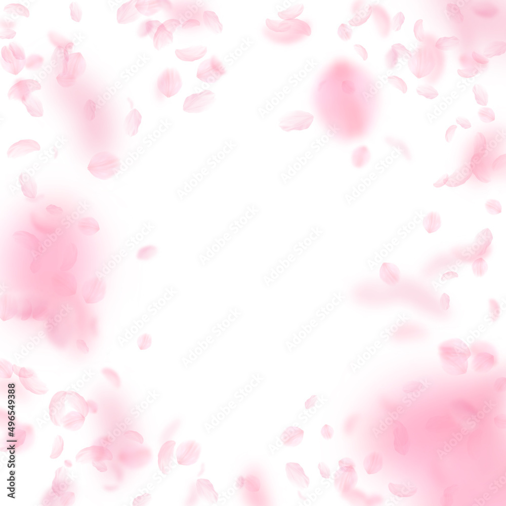 Sakura petals falling down. Romantic pink flowers vignette. Flying petals on white square background. Love, romance concept. Good-looking wedding invitation.