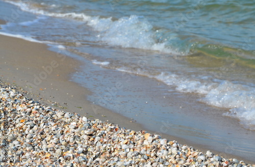 sea ​​waves and sandy seashore with shells.background