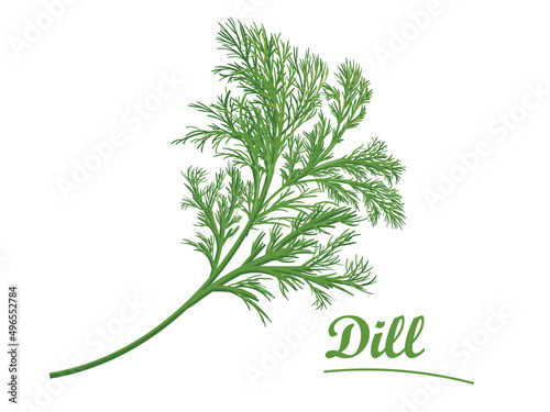 Fotografie, Tablou Fresh dill on white background, isolated