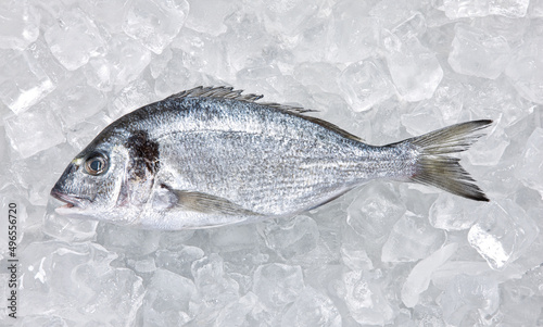 Fresh fish on ice at the fish market