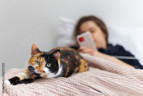 Pets, morning, comfort, vacation and people concept - young woman looking at phone and she has a tricolor cat sitting on her feet. photo