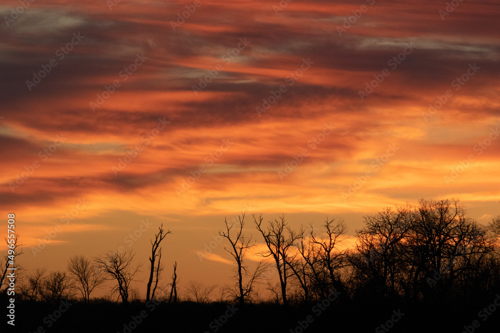 Obraz premium sunset over the field