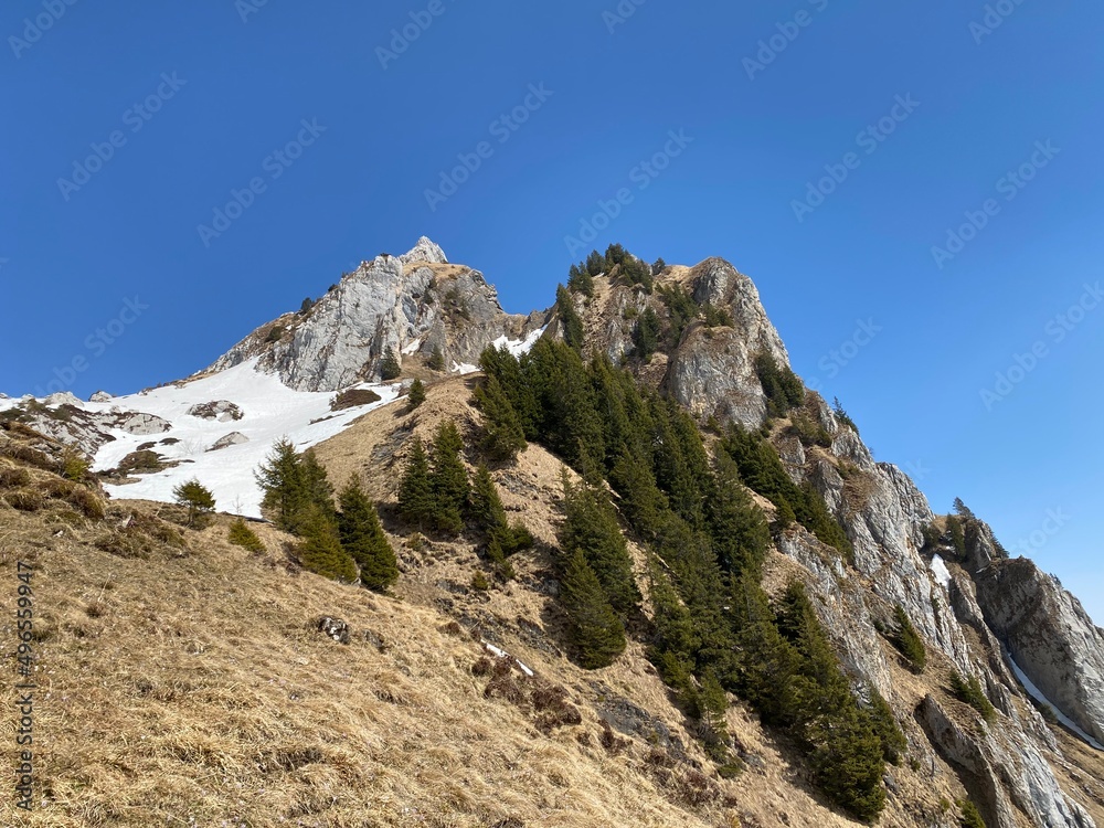 Rocky peak Dejenstogg or Dejenstock (2022 m) in the Glarus Alps mountain range, over the Klöntalersee (or Kloentalersee) reservoir lake and Klöntal alpine valley - Canton of Glarus, Switzerland