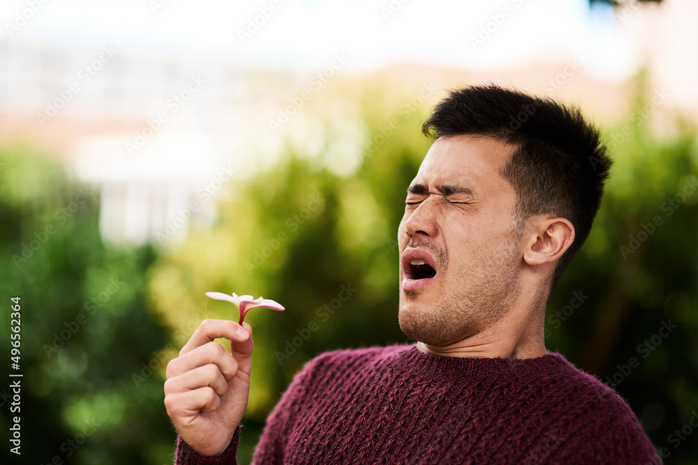 Fototapeta premium Hayfever season. Cropped shot of a young man sneezing after smelling a flower.