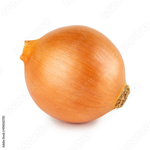 Whole sweet onion bulb, in horizontal side view, isolated on white background with clipping path, cutout. photo
