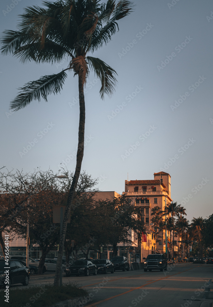 Obraz premium palm trees at sunset Miami Beach 