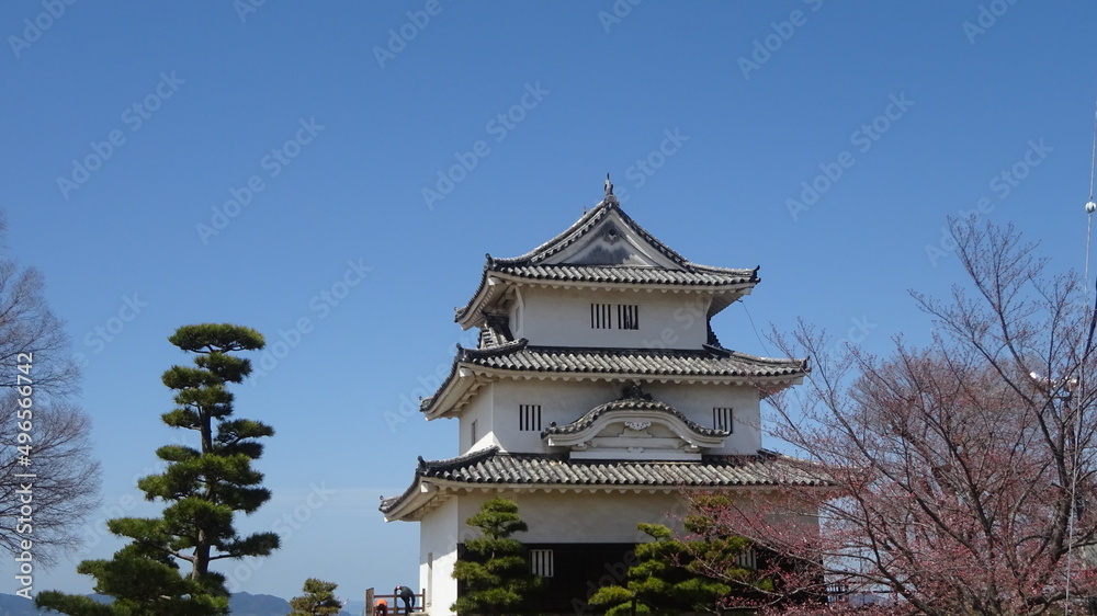 香川県に現存する天守を持つ丸亀城と桜
Marugame Castle and cherry blossoms with existing castle tower in Kagawa Prefecture