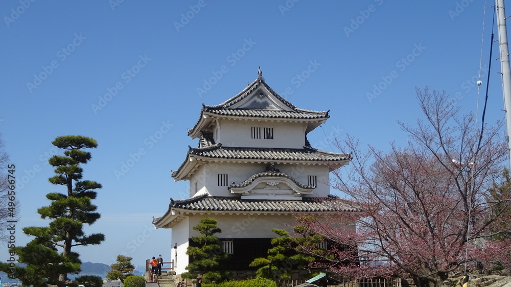 香川県に現存する天守を持つ丸亀城と桜
Marugame Castle and cherry blossoms with existing castle tower in Kagawa Prefecture 香川県に現存する天守を持つ丸亀城と桜
Marugame Castle and cherry blossoms with existing castle tower in Kagawa Prefecture