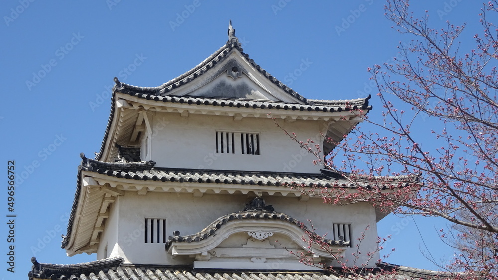 香川県に現存する天守を持つ丸亀城と桜
Marugame Castle and cherry blossoms with existing castle tower in Kagawa Prefecture 香川県に現存する天守を持つ丸亀城と桜
Marugame Castle and cherry blossoms with existing castle tower in Kagawa Prefecture