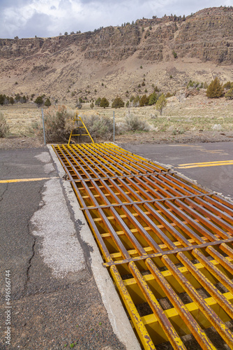 cattle crossing guard on a back road