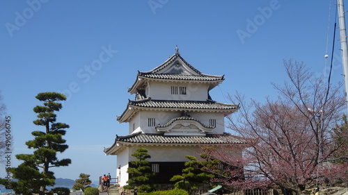 香川県に現存する天守を持つ丸亀城と桜
Marugame Castle and cherry blossoms with existing castle tower in Kagawa Prefecture