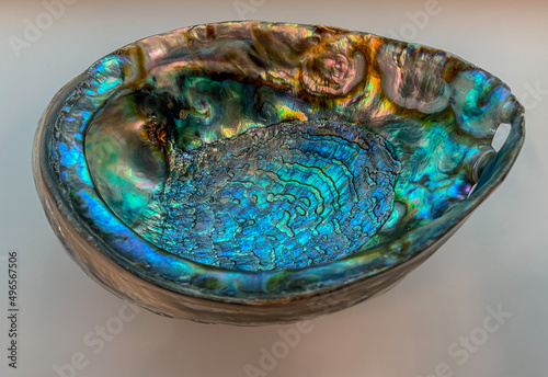 View of the iridescent surface inside a Mexican abalone shell.