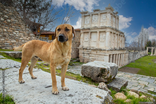 Afrodisias Ancient city. (A...