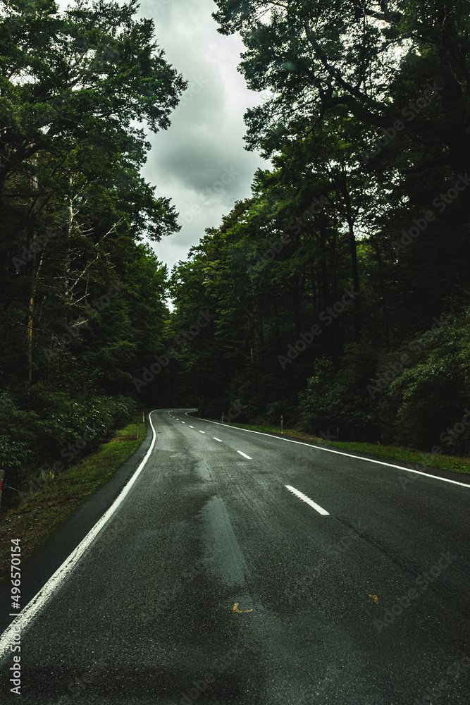 Fototapeta premium Alpine highway in New Zealand
