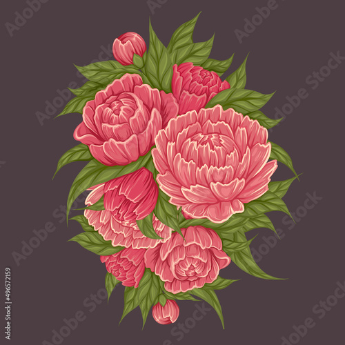 Vector cartoon illustration of peony flowers with foliage on gray background. Image of natural floral bouquet. Botany clipart
