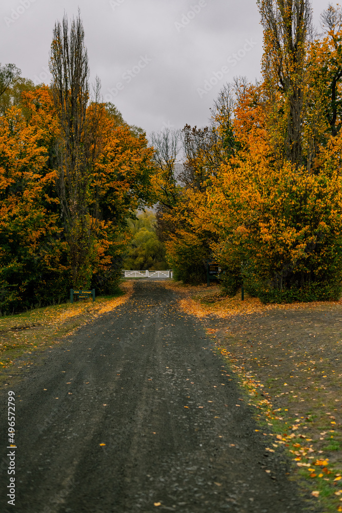 Obraz premium Shingle road in the mountains