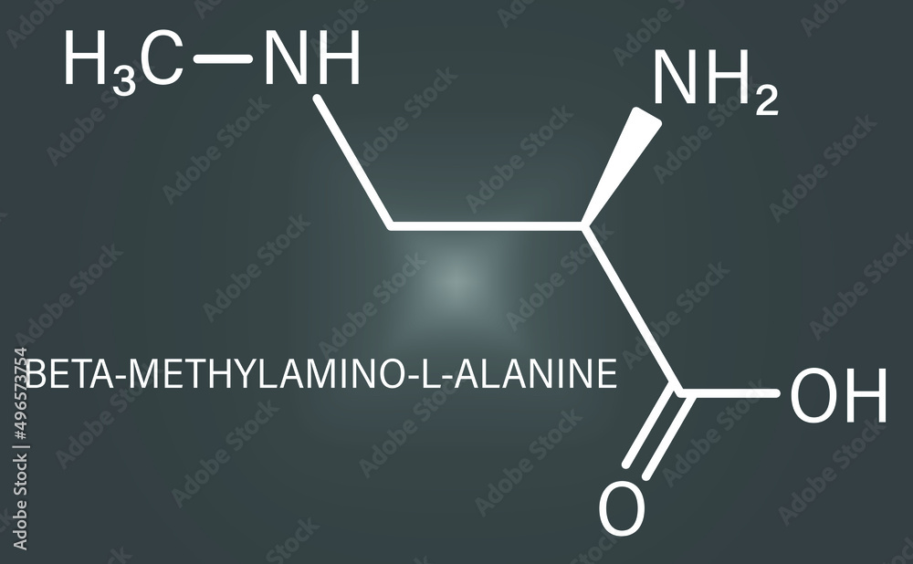 beta-Methylamino-L-alanine (BMAA) toxic amino acid molecule. Produced ...