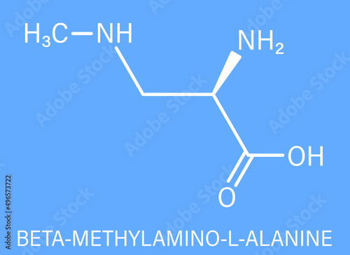 beta-Methylamino-L-alanine (BMAA) toxic amino acid molecule. Produced by cyanobacteria. Skeletal formula.