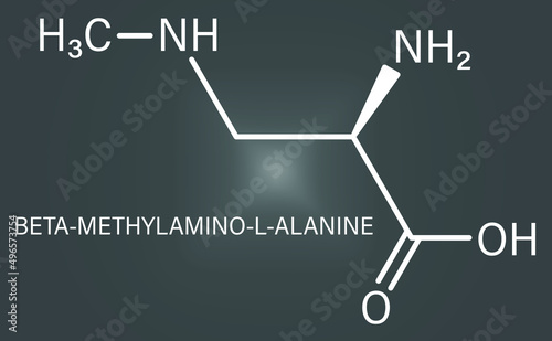 beta-Methylamino-L-alanine (BMAA) toxic amino acid molecule. Produced by cyanobacteria. Skeletal formula.