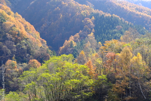 山梨県奥秩父の紅葉