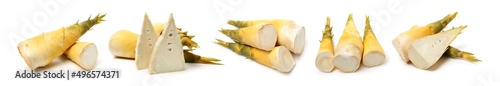 Foto Bamboo shoot on the white background