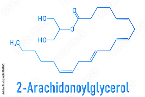 2-Arachidonoylglycerol (2-AG) endocannabinoid neurotransmitter molecule. Skeletal formula.