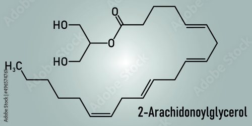2-Arachidonoylglycerol (2-AG) endocannabinoid neurotransmitter molecule. Skeletal formula. photo