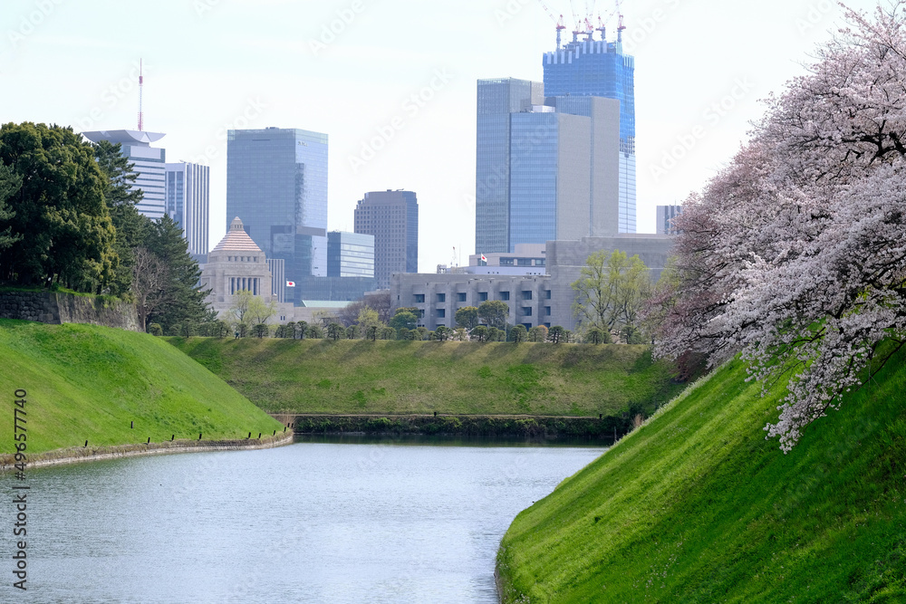 【東京】皇居・千鳥ヶ淵公園から見る国会議事堂（春）