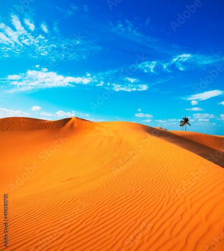 Desert landscape sand dunes Dubai