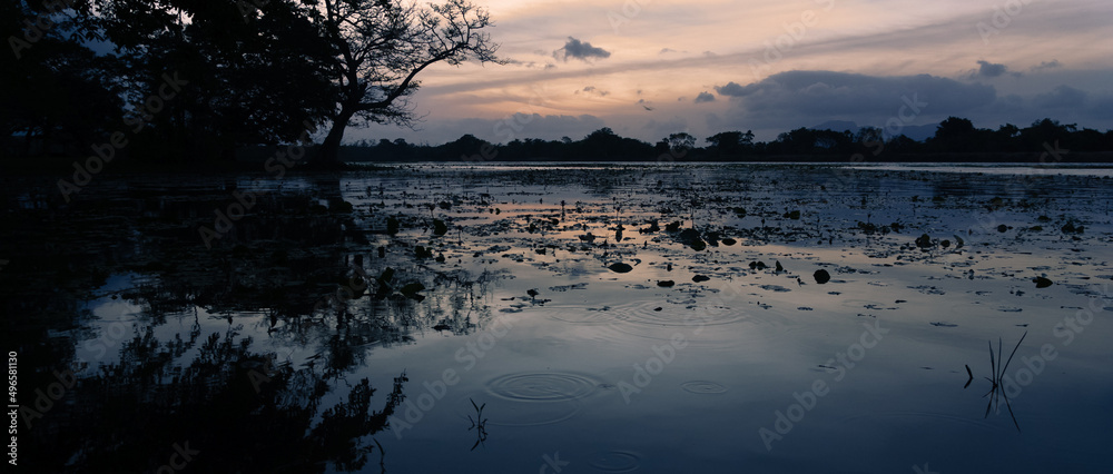 Fototapeta premium Tropical Lake at dusk, Habarana, Sri Lanka