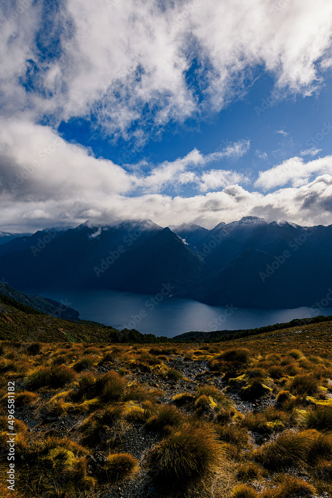 Fjord in New Zealand Fjord in New Zealand