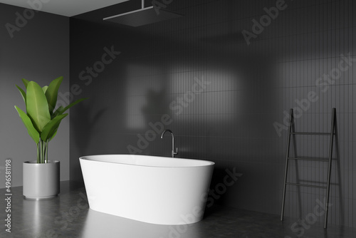 Corner view on dark bathroom interior with bathtub  plant