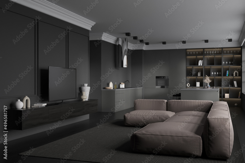 Fototapeta premium Corner view on dark studio room interior with tv, sofa