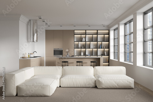 Front view on bright studio room interior with sofa, island