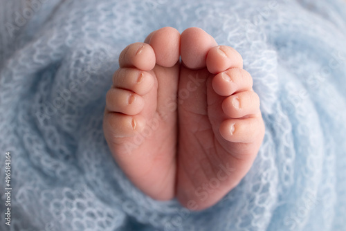 The tiny foot of a newborn. Soft feet of a newborn in a blue woolen blanket. Close up of toes, heels and feet of a newborn baby. Studio Macro photography. Woman's happiness. Concept. © Vad-Len