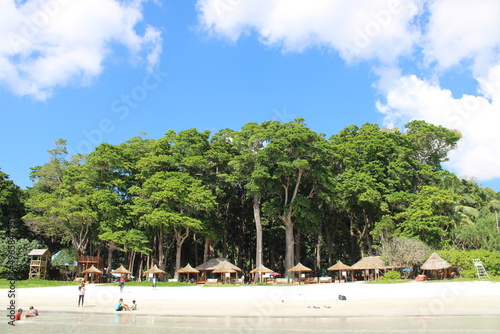 An excellent nature view of Beach Side at Radhanagar Beach, Havelock.  photo