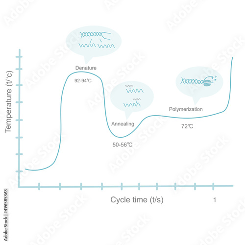 The correlation graph of temperature and cycle time of PCR steps (Denaturation,annealing and polymerization).This diagram represents the importance reaction that occurs in amplifying the DNA template.