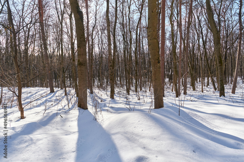 Snowy road in the winter forest. Snowy road in the winter forest.