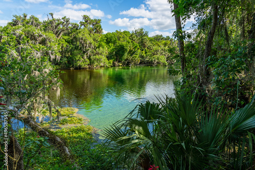 Blue Spring State Park. Wintering place manotee. View of the river with warm thermal water, rich natural beauty, rich history and a wonderful amount of wildlife.