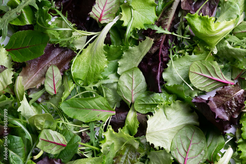 Close up view of fresh salad mix leaves, healthy organic food ingredients