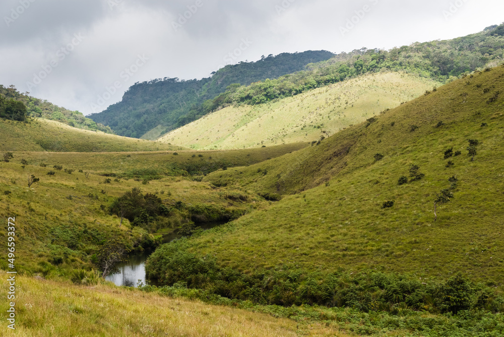 Horton Plains national park, Sri Lanka Horton Plains national park, Sri Lanka