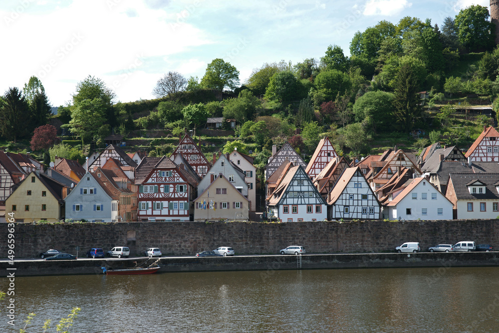 Obraz premium Hirschhorn