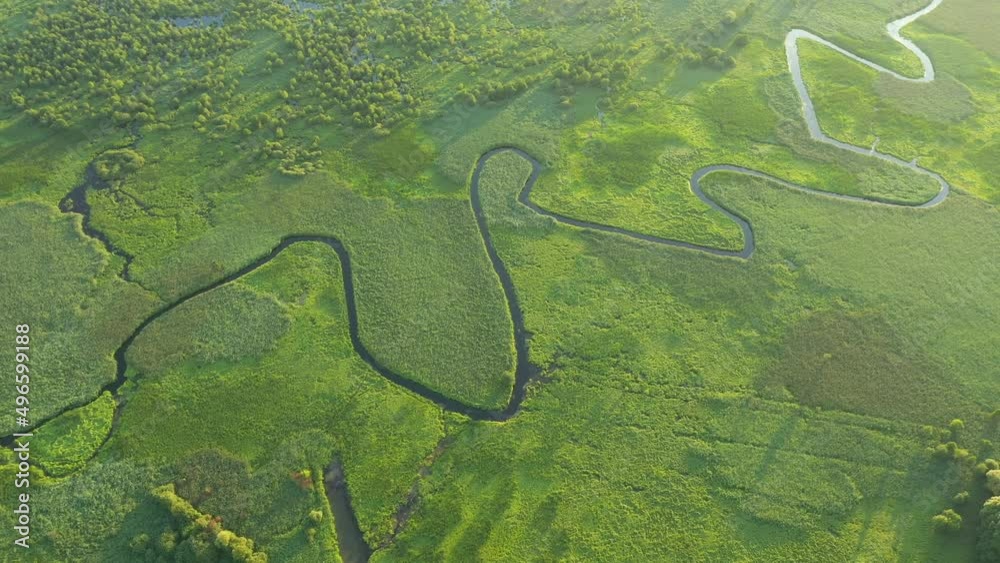 The twisted river meanders through the swamp from a bird's eye view. Filmed UHD in 4k video. The twisted river meanders through the swamp from a bird's eye view. Filmed UHD in 4k video.